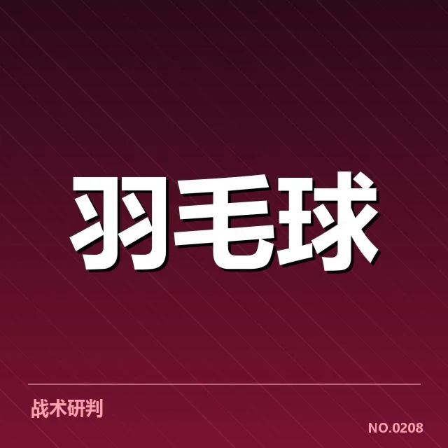 羽毛球青训锦标赛：年轻选手未来走向如何